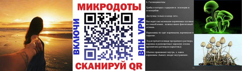 Галлюциногенные грибы ЛСД  сколько стоит  Тында 