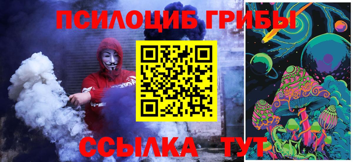 Галлюциногенные грибы мицелий  Псилоцибиновые грибы GOLDEN TEACHER  Тында  Вход с VPN 