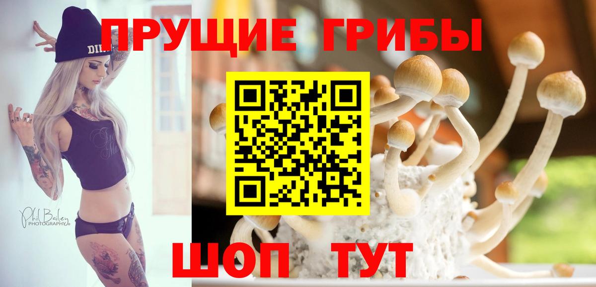 Галлюциногенные грибы MAGIC MUSHROOMS Тында